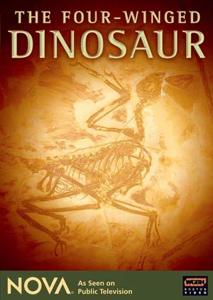 Постер: The Four-Winged Dinosaur