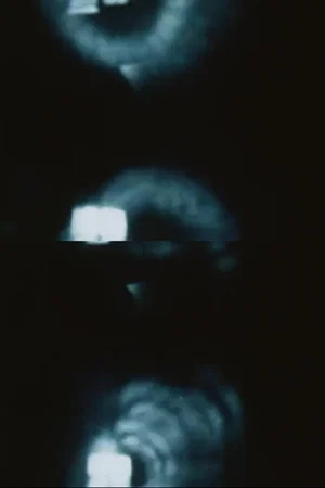 Постер: Pinhole Film (The Man Without a Movie Camera)