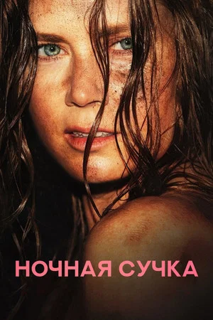 Постер: Ночная сучка