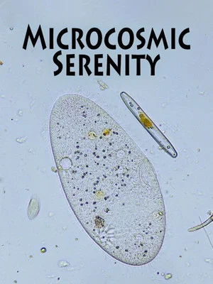 Постер: Microcosmic Serenity
