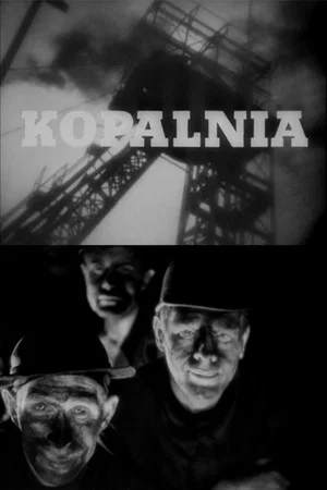 Постер: The Mine