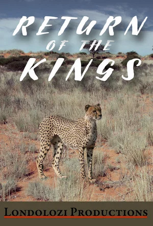 Постер: The Return of the Kings
