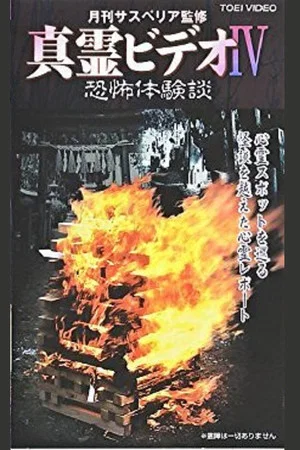 Постер: Shin rei bideo IV: Kyôfu taikendan