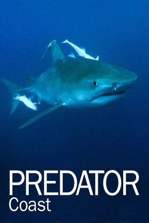 Постер: Predator Coast