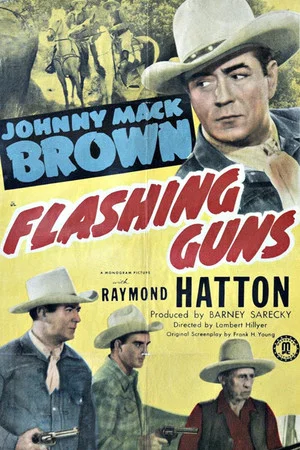 Постер: Flashing Guns