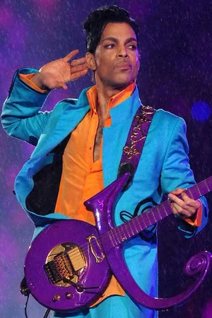 Постер: Prince: The Final Secret
