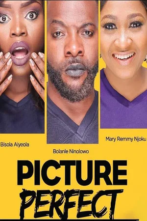 Постер: Picture Perfect