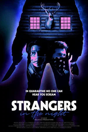 Постер: Strangers in the Night