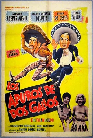 Постер: Los apuros de dos gallos