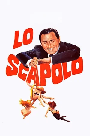 Постер: Холостяк
