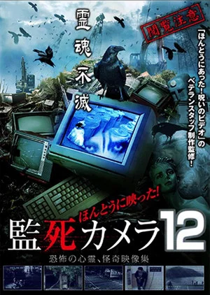 Постер: Paranormal Surveillance Camera 12