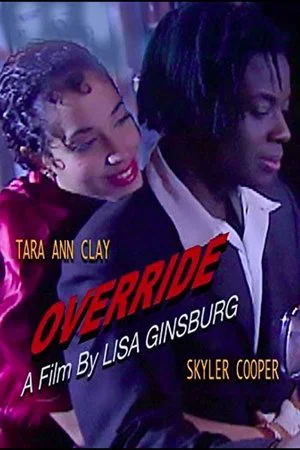 Постер: Override