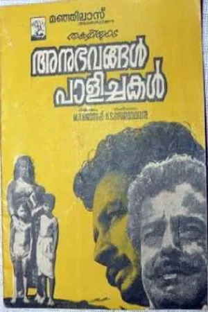 Постер: Anubhavangal Palichakal