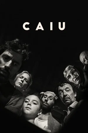 Постер: Caiu