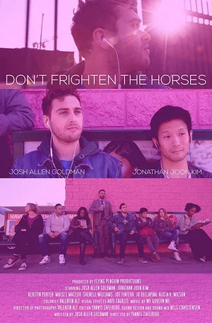 Постер: Don't Frighten the Horses
