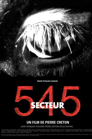 Постер: Secteur 545