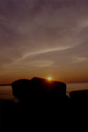 Постер: This Film Has No Commercial Value