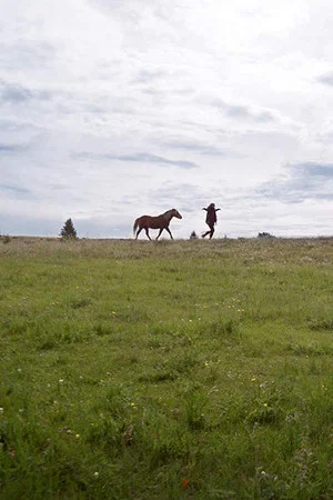Постер: Herd