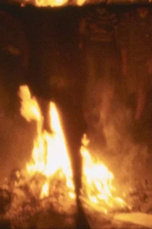 Постер: Fuego Rápido