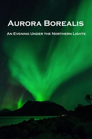 Постер: Aurora Borealis: An Evening under the Northern Lights