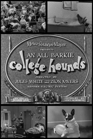 Постер: College Hounds