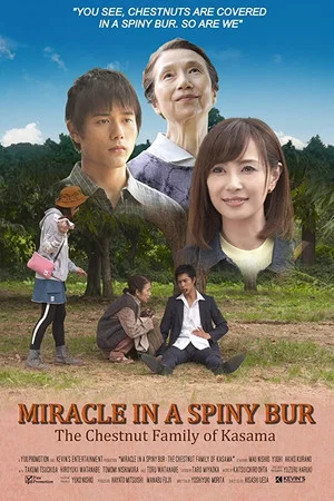 Постер: Miracle in Kasama
