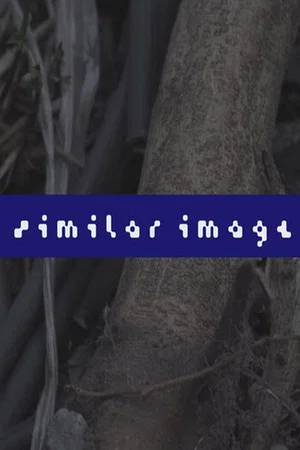 Постер: Similar Image