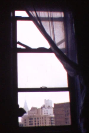 Постер: Windows