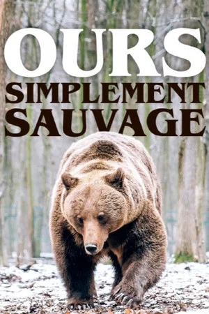 Постер: Ours, simplement sauvage