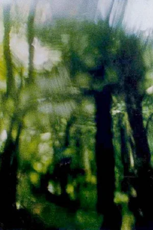 Постер: Green Canopy