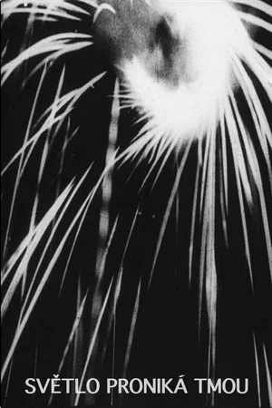 Постер: The Light Penetrates the Dark