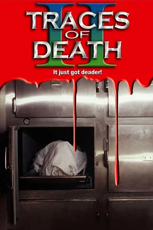 Постер: Следы смерти 2