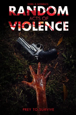 Постер: Random Acts of Violence