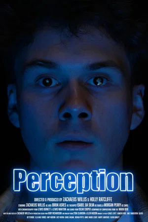Постер: Perception