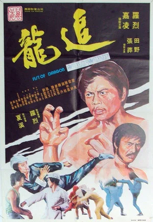 Постер: Fist of Dragon
