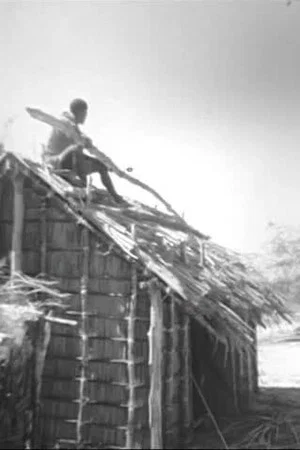 Постер: Pêche, bétail, tortues, coiffure chez les Vezo de Madagascar