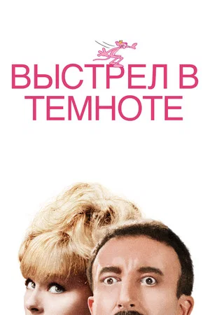 Постер: Выстрел в темноте