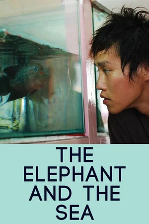 Постер: The Elephant and the Sea