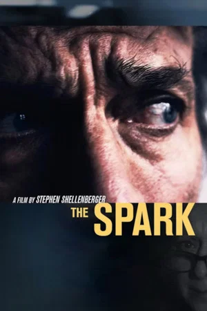 Постер: The Spark