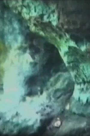 Постер: Penetrating Through the Cave