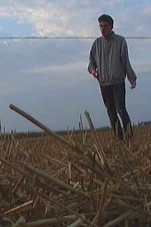 Постер: The Roots Of The Horizon