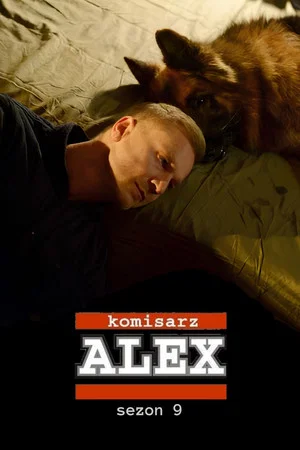 Постер: 9 сезон