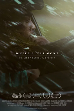 Постер: While I Was Gone