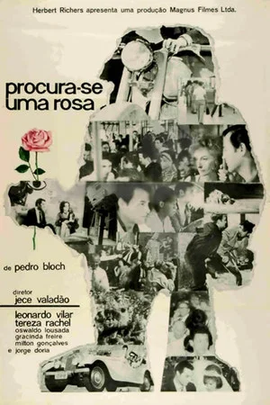Постер: Procura-se Uma Rosa