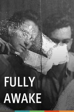 Постер: Fully Awake: Black Mountain College