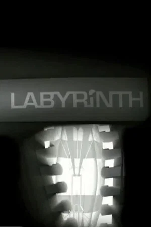Постер: Labyrinth
