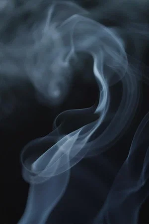 Постер: The Cannabis Question