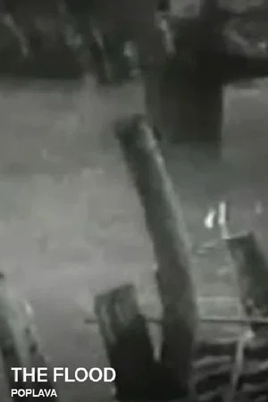 Постер: The Flood