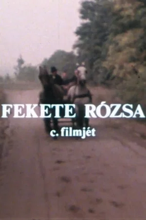 Постер: Fekete rózsa