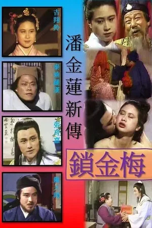 Постер: 锁金梅